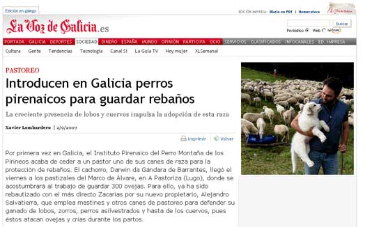  Introducen en Galicia perros pirenaicos para guardar rebaos